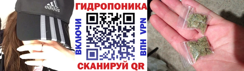 Каннабис семена  Анапа 